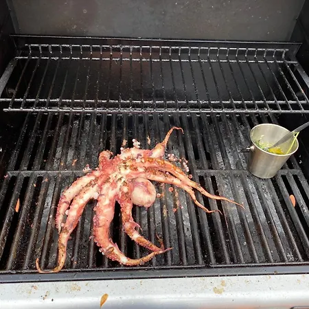 Villa Beachfront With Private Access, Ocean Views, Pool, Casal do Narcizo