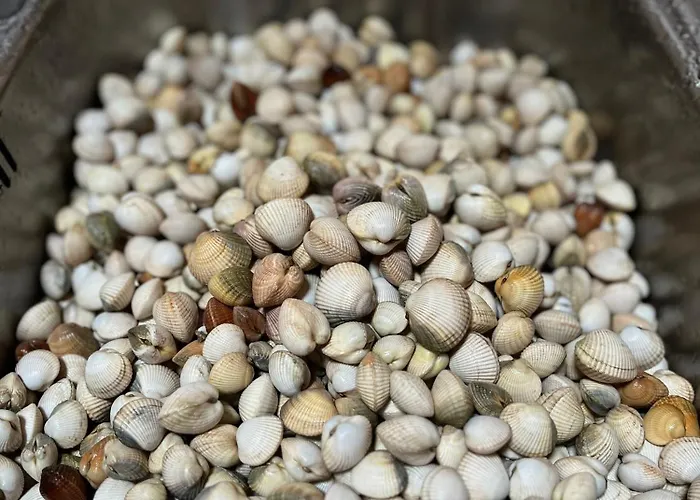 Villa Beachfront With Private Access, Ocean Views, Pool, *